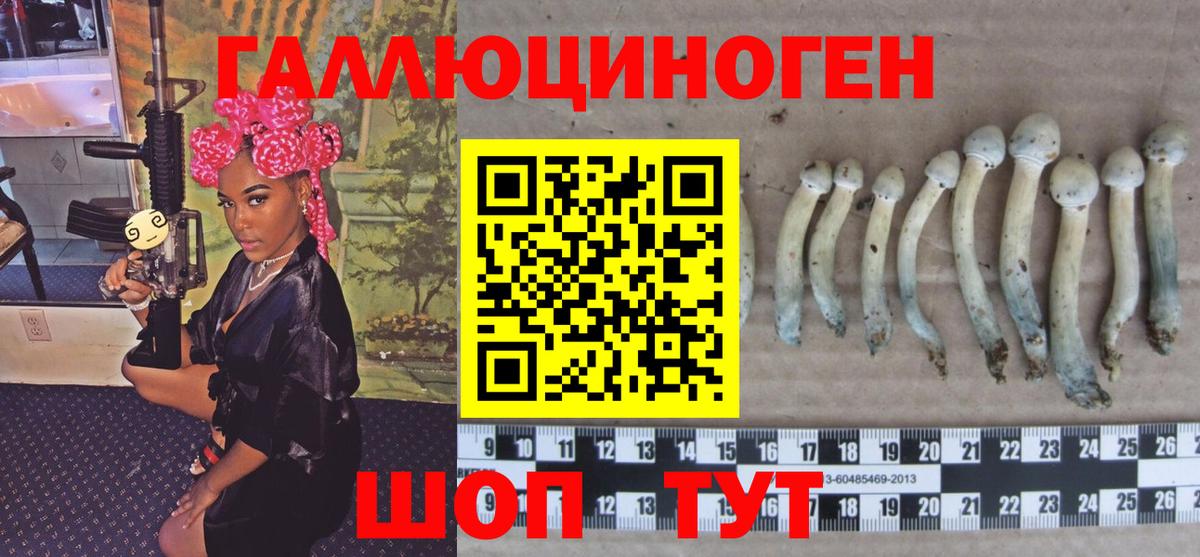 Галлюциногенные грибы Magic Shrooms  Вход с VPN  Камышин 