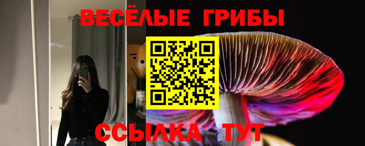Галлюциногенные грибы мицелий Камышин